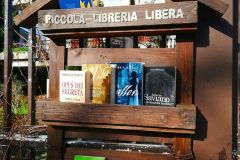 Adolescenti-e-lettura-piccola-libreria-libera-4